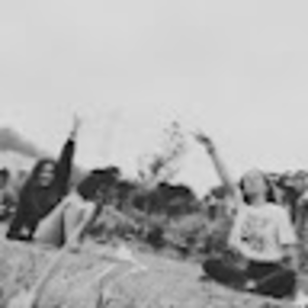 Meet your Posher, Piper